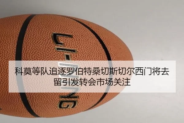 科莫等队追逐罗伯特桑切斯切尔西门将去留引发转会市场关注 - kaiyun