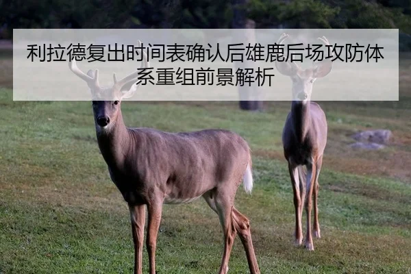 利拉德复出时间表确认后雄鹿后场攻防体系重组前景解析（kaiyun）