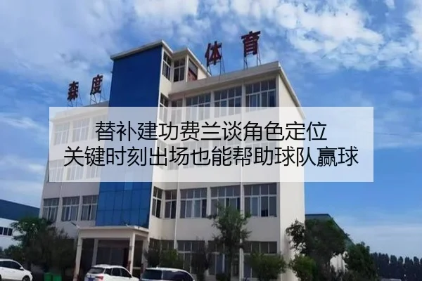 替补建功费兰谈角色定位 关键时刻出场也能帮助球队赢球（kaiyun）